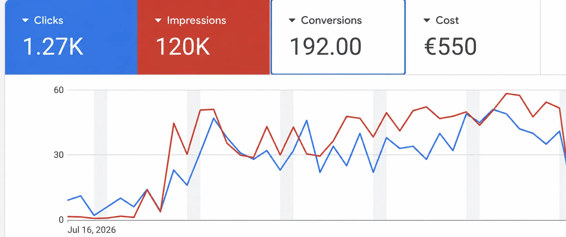 Ortovet Google Ads rezultatų ataskaita