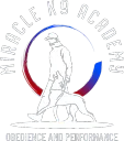 Miracle K9 Academy